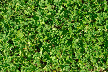 Similar image 10858976