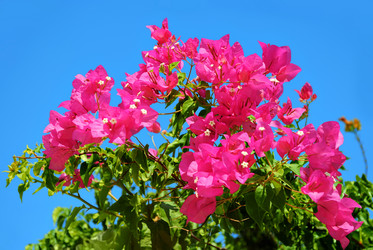 Similar image 10858978