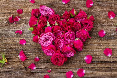 Similar image 10860958