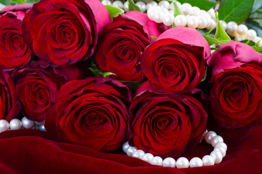 Similar image 10860967