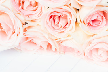 Similar image 10861082