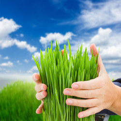 Similar image 10861094