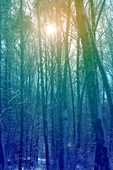 Similar image 10859555