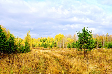 Similar image 10857705