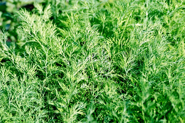 Similar image 10857709