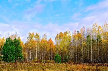 Similar image 10857711