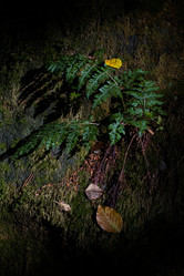 Similar image 10859420