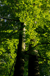 Similar image 10859421