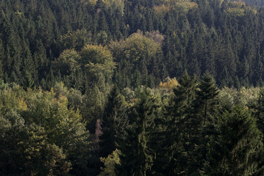 Similar image 10859422