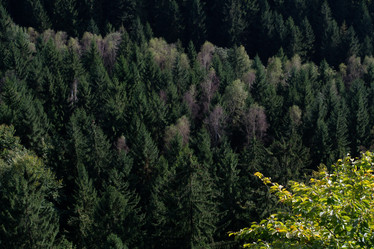 Similar image 10859431