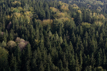 Similar image 10859470