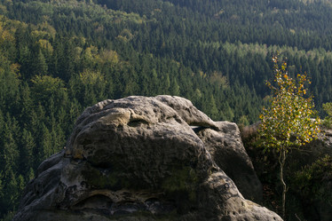 Similar image 10859471