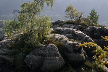 Similar image 10859472