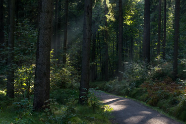 Similar image 10859473