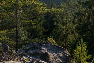 Similar image 10859474