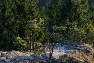 Similar image 10859475