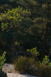 Similar image 10859476