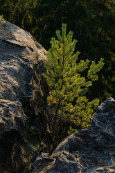 Similar image 10859480