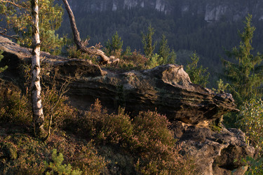 Similar image 10859481