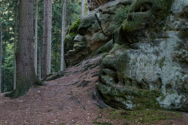 Similar image 10859484