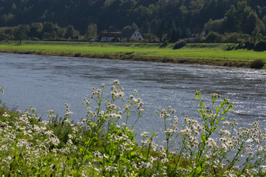 Similar image 10859495