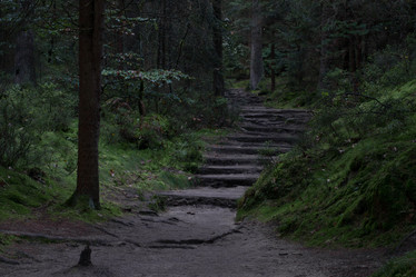 Similar image 10859512