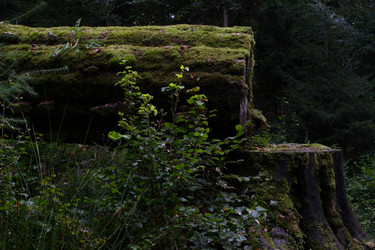 Similar image 10859514