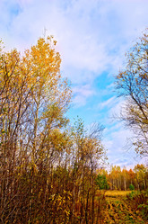 Similar image 10859365