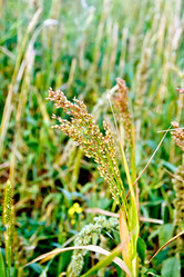 Similar image 10859367