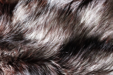 Similar image 10859072