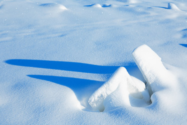 Similar image 10859100