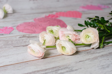 Similar image 10859062