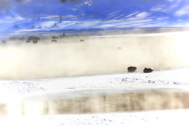 Similar image 10860388