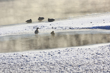 Similar image 10860408