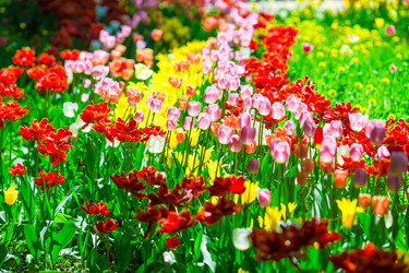 Similar image 10861122