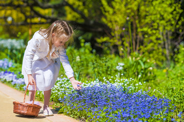 Similar image 10862001