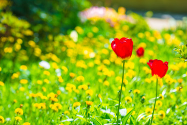 Similar image 10861124