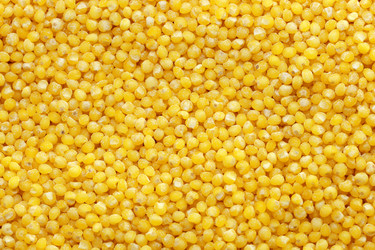 Similar image 10859559