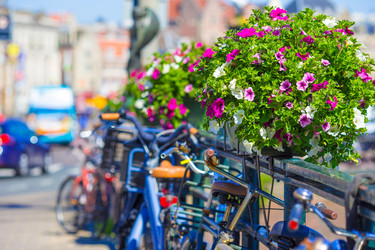 Similar image 10861894