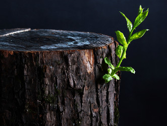 Similar image 10858761