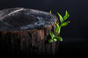 Similar image 10858762