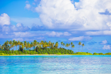 Similar image 10861744