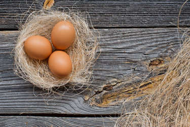 Similar image 10859050