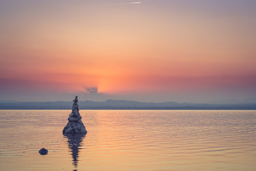 Similar image 10858774