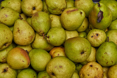 Similar image 10858991