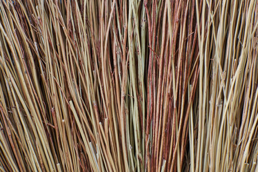 Similar image 10858994