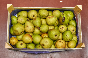 Similar image 10859000