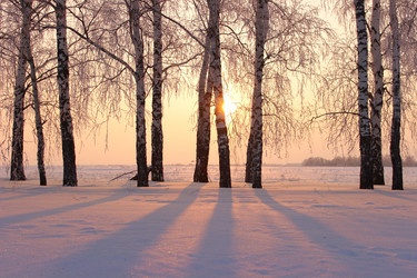 Similar image 10858776