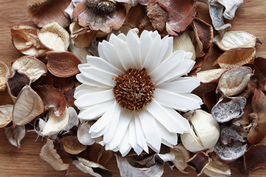 Similar image 10859132