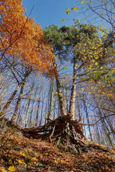 Similar image 10858780